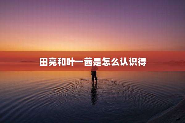 田亮和叶一茜是怎么认识得