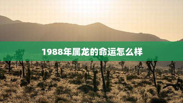 1988年属龙的命运怎么样