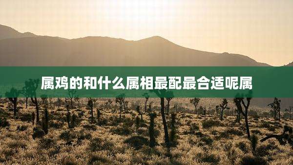 属鸡的和什么属相最配最合适呢属