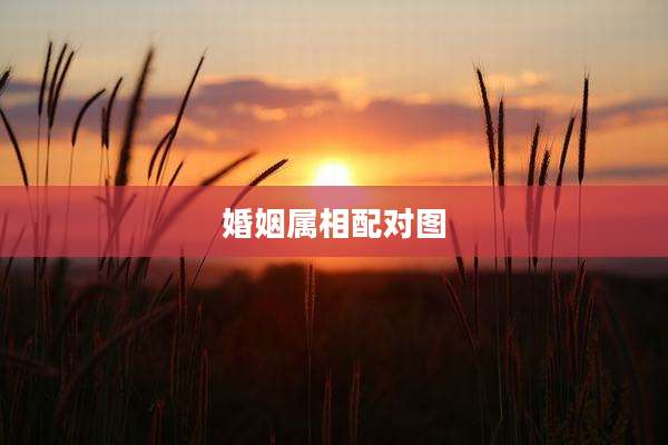 婚姻属相配对图