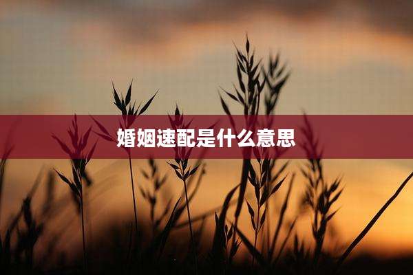 婚姻速配是什么意思
