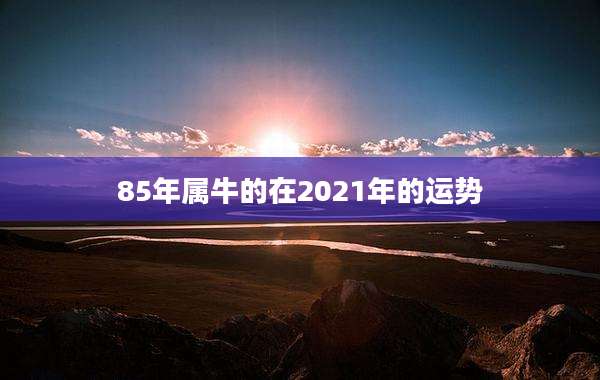 85年属牛的在2021年的运势