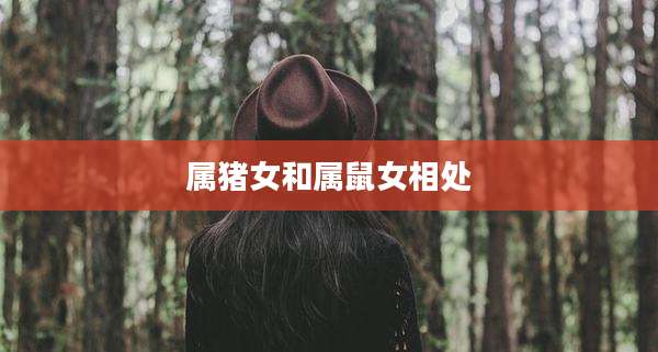 属猪女和属鼠女相处