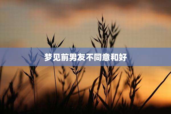梦见前男友不同意和好