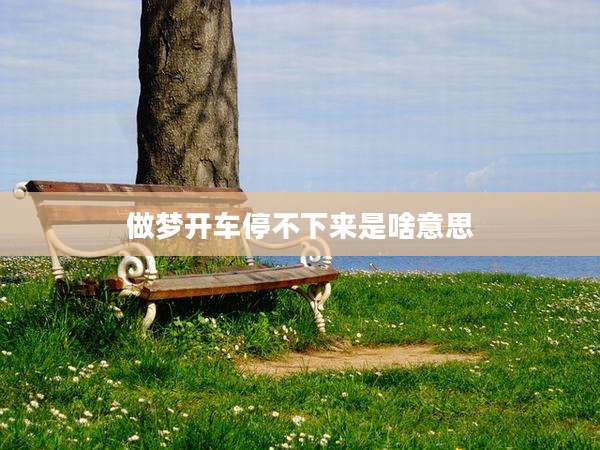 做梦开车停不下来是啥意思