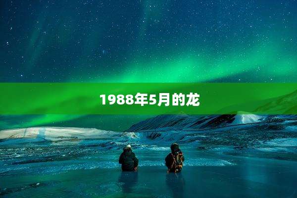 1988年5月的龙