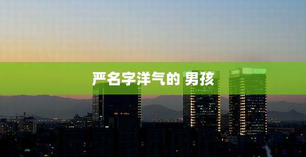 严名字洋气的 男孩