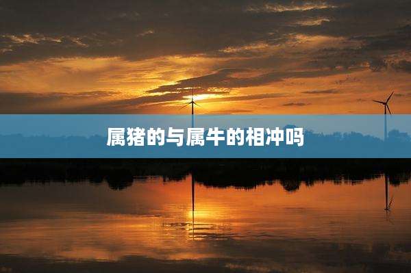 属猪的与属牛的相冲吗