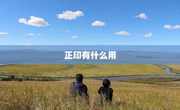 正印有什么用