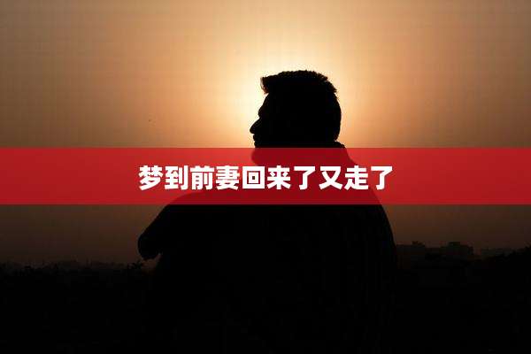 梦到前妻回来了又走了
