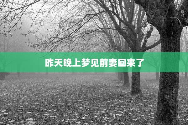 昨天晚上梦见前妻回来了