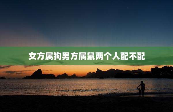 女方属狗男方属鼠两个人配不配