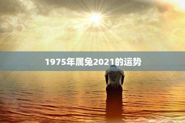 1975年属兔2021的运势
