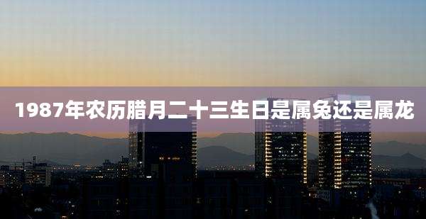1987年农历腊月二十三生日是属兔还是属龙