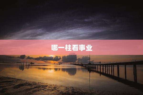 哪一柱看事业