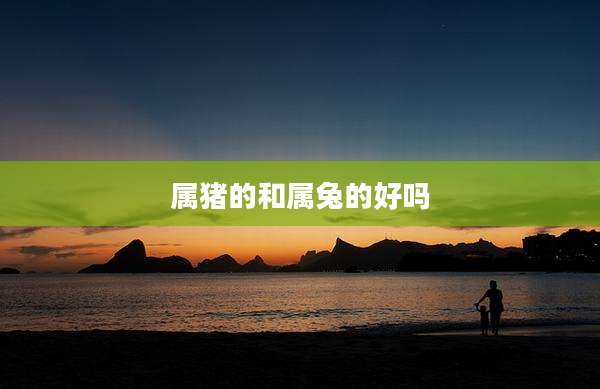 属猪的和属兔的好吗