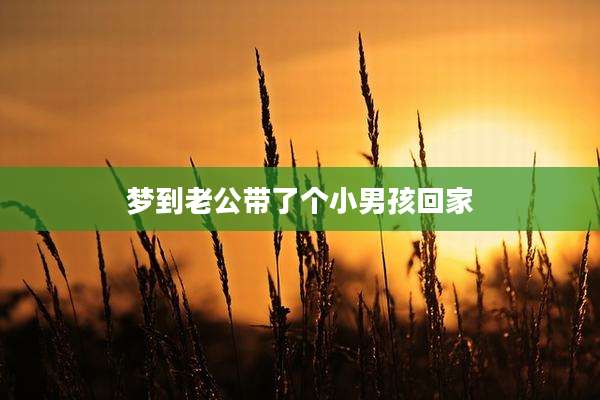 梦到老公带了个小男孩回家