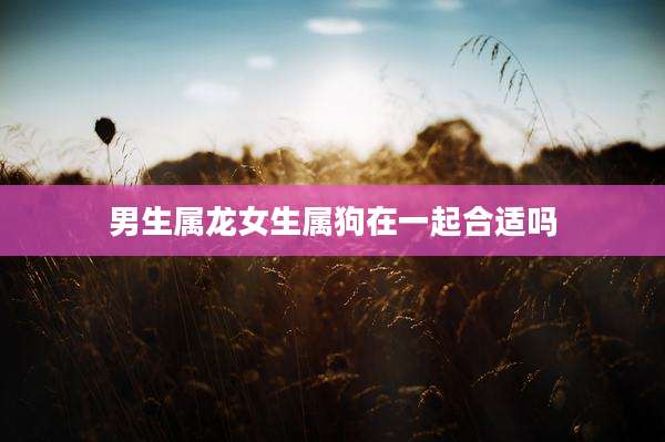 男生属龙女生属狗在一起合适吗