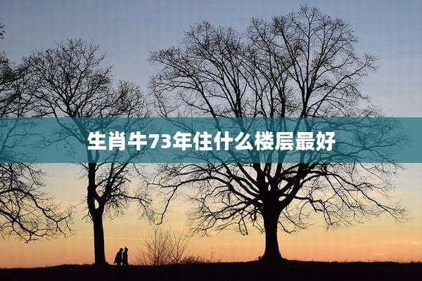 生肖牛73年住什么楼层最好