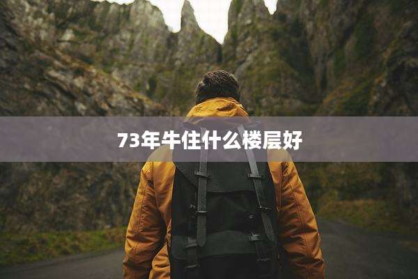 73年牛住什么楼层好