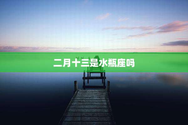 二月十三是水瓶座吗