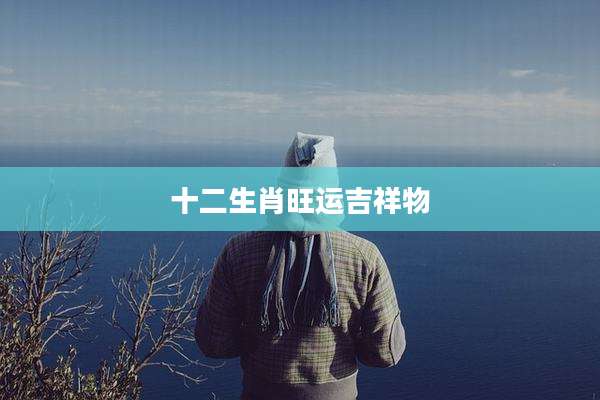 十二生肖旺运吉祥物