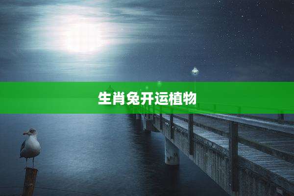 生肖兔开运植物