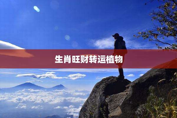 生肖旺财转运植物