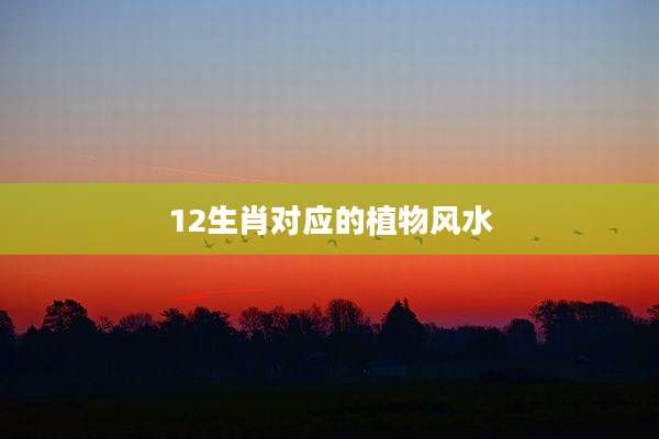 12生肖对应的植物风水