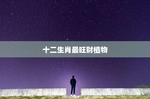 十二生肖最旺财植物
