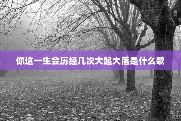 你这一生会历经几次大起大落是什么歌