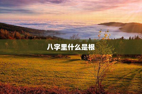 八字里什么是根
