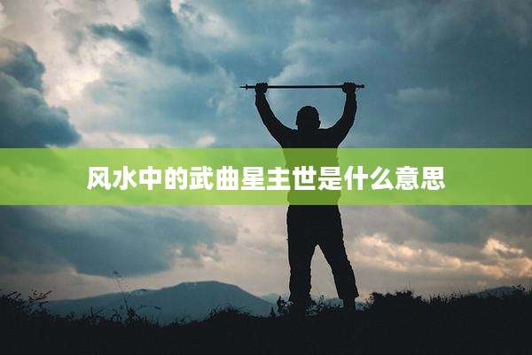 风水中的武曲星主世是什么意思