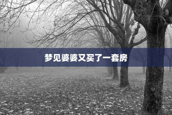 梦见婆婆又买了一套房