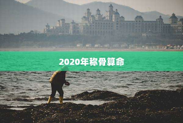 2020年称骨算命