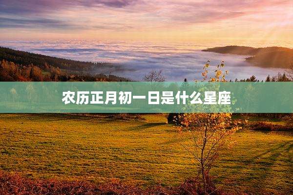 农历正月初一日是什么星座