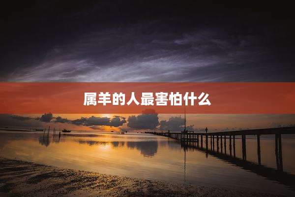 属羊的人最害怕什么