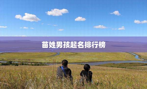 苗姓男孩起名排行榜