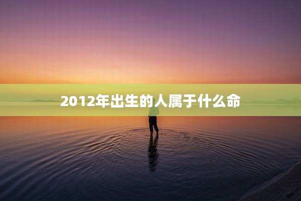 2012年出生的人属于什么命