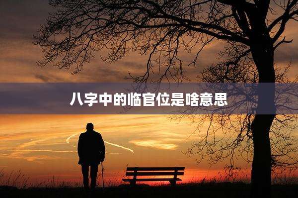 八字中的临官位是啥意思