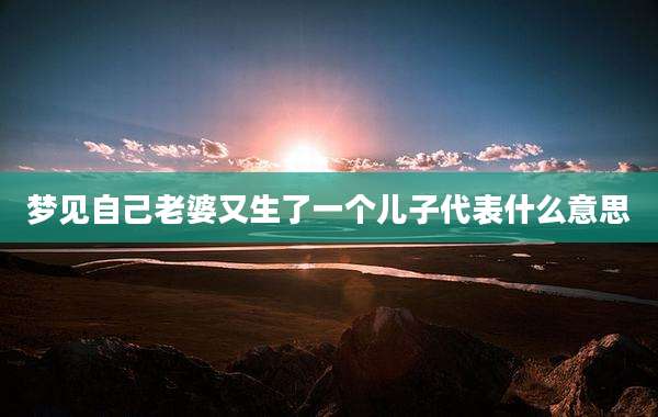 梦见自己老婆又生了一个儿子代表什么意思