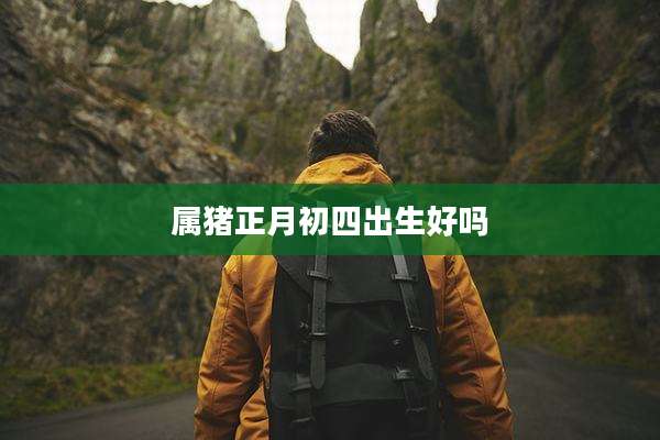 属猪正月初四出生好吗