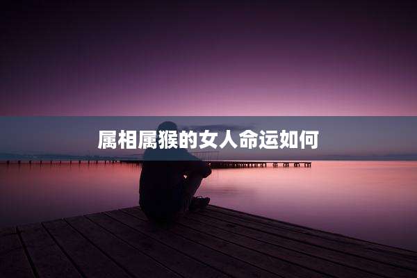 属相属猴的女人命运如何