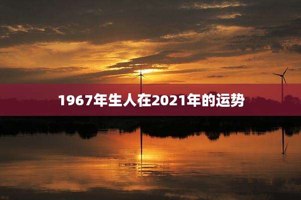 1967年生人在2021年的运势