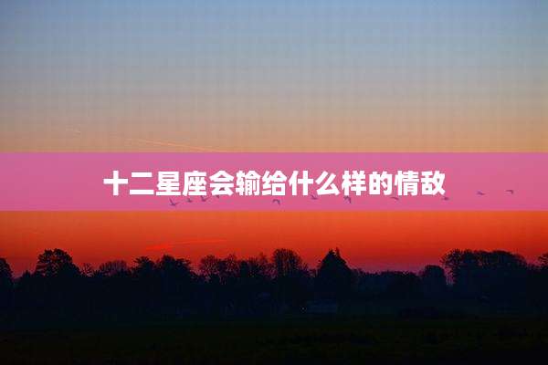 十二星座会输给什么样的情敌
