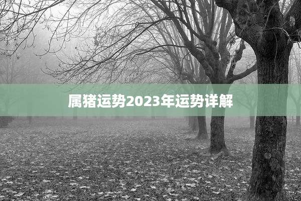 属猪运势2023年运势详解