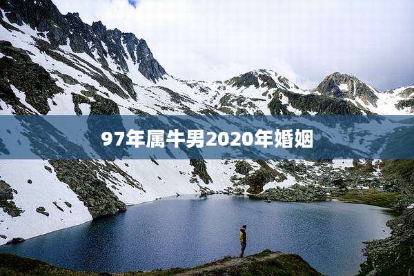 97年属牛男2020年婚姻