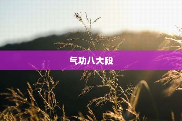 气功八大段
