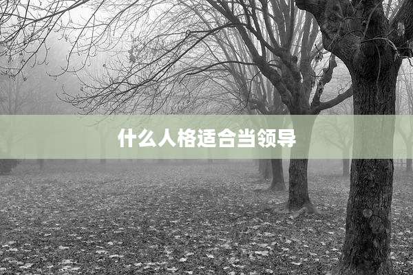 什么人格适合当领导