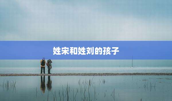 姓宋和姓刘的孩子